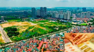 أيهما يتفوق في الحفاظ على رأس المال وتحقيق عوائد استثمارية مجزية؟